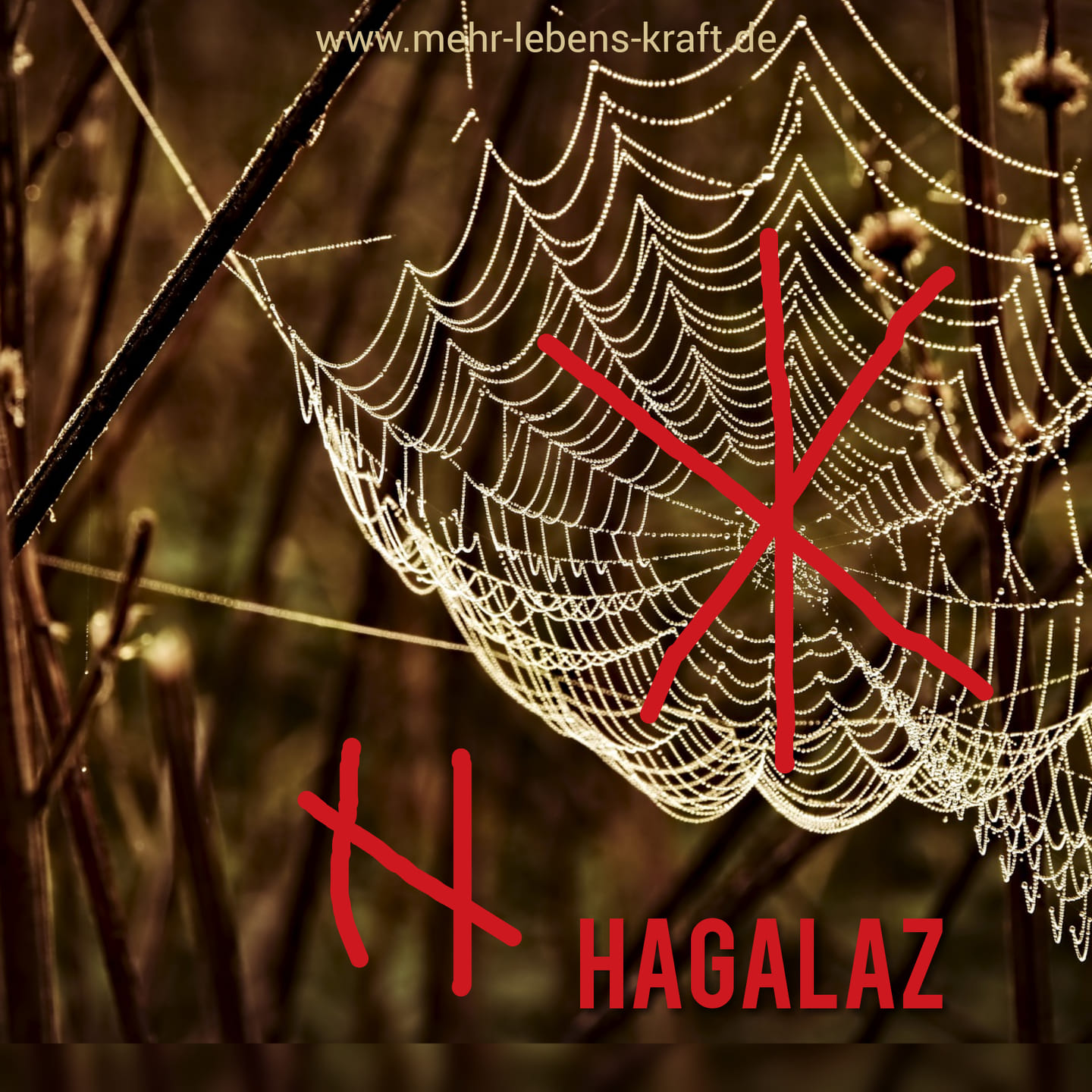 Rune Hagalaz / Hagel